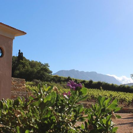 La Bastide - Le Grenache - Le Syrah Au Domaine Chateau Henri Bonnaud Le Tholonet ภายนอก รูปภาพ