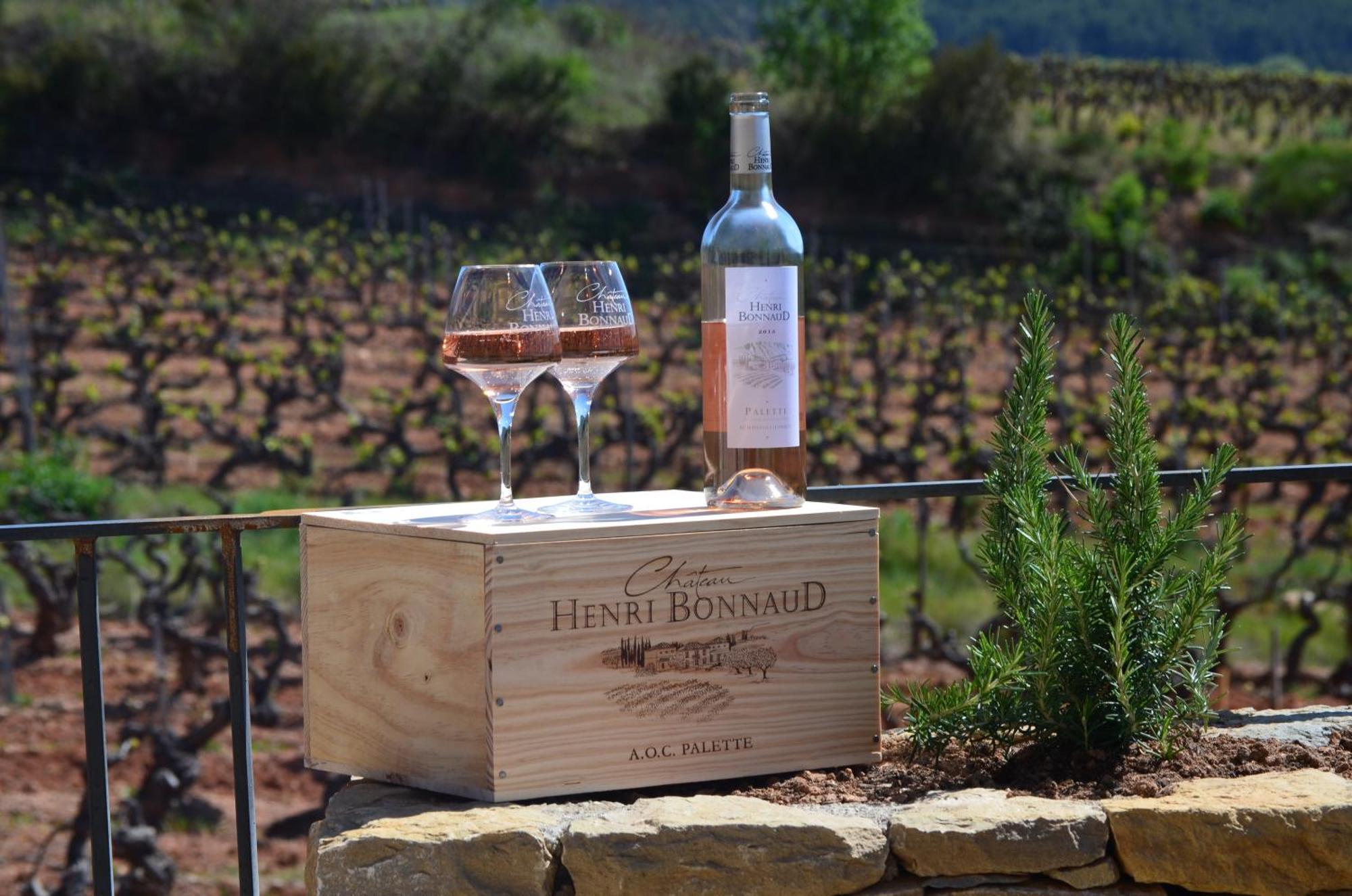 La Bastide - Le Grenache - Le Syrah Au Domaine Chateau Henri Bonnaud Le Tholonet ภายนอก รูปภาพ
