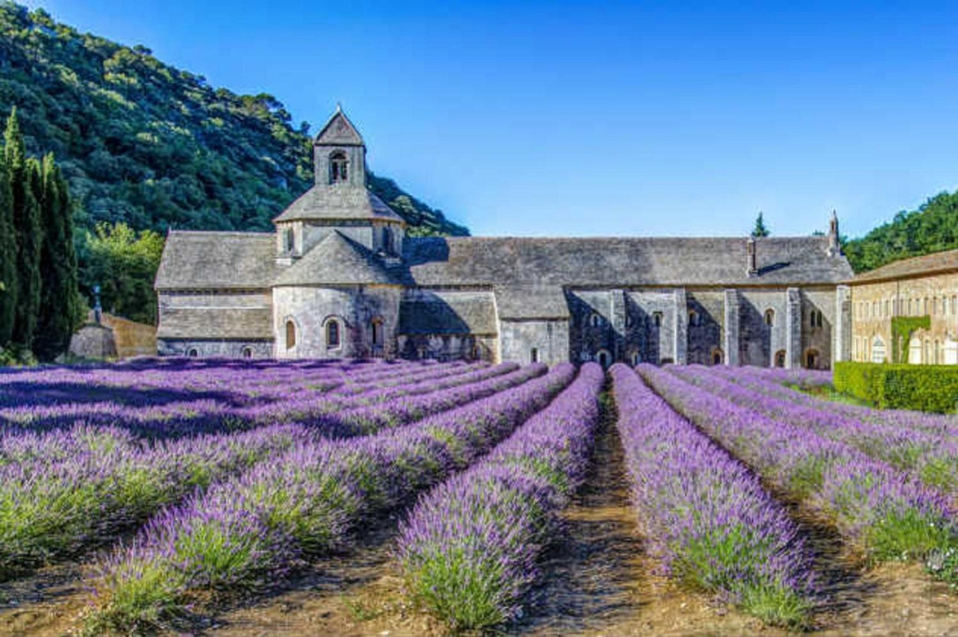 La Bastide - Le Grenache - Le Syrah Au Domaine Chateau Henri Bonnaud Le Tholonet ภายนอก รูปภาพ